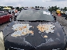 2GNALDEK5C6****** Salvage and Repairable 2012 Chevrolet Equinox in South Carolina State