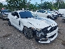 1FA6P8AM4G5****** Salvage and Repairable 2016 Ford Mustang in Florida State