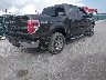1FTPW14V69K****** Salvage and Wrecked 2009 Ford F-150 in Maryland State