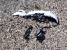1C4RJFBG7LC****** Destrozados 2020 Jeep Grand Cherokee en Estado de Ohio