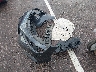 19XFL2H85TE****** Wrecked 2026 Honda Civic in South Dakota State