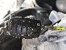 5NMZTDLB2HH****** Salvamento 2017 Hyundai Santa Fe en Estado de Virginia