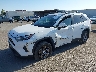 2T3W1RFV8SW****** Used and Repairable 2025 Toyota RAV4 in San Diego