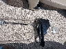 BUJ5889***** Wrecked 2018 Tracker Regency 220 Le3 in Iowa State