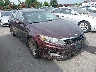 5XXGM4A76DG****** Salvamento y Destrozados 2013 Kia Optima en Charlotte