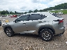 JTJDARBZ9M2****** Reparables 2021 Lexus NX 300 en Estado de Tennessee