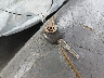 4T1BK36B25U****** Salvamento 2005 Toyota Avalon en Estado de Maryland