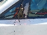 KNDMB5C19K6****** Usados 2019 Kia Sedona