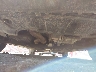 KNDMB5C19K6****** Reparables 2019 Kia Sedona