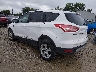 1FMCU0G91EU****** Salvage and Repairable 2014 Ford Escape in Columbus