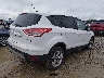 1FMCU0G91EU****** Salvage and Wrecked 2014 Ford Escape in Ohio State
