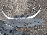 3GTU2NEC1GG****** Reparables 2016 GMC Sierra 1500