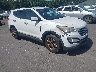 5XYZUDLB4EG****** Salvamento y Destrozados 2014 Hyundai Santa Fe en Lake City