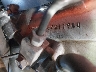 1HFSC47003A****** Repairable 2003 Honda GL1800 in Huntsville