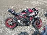ML5EREN11RD****** Destrozados 2024 Kawasaki Z650 en Estado de Pennsylvania