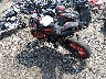 ML5EREN11RD****** Salvamento y Reparables 2024 Kawasaki Z650 en Rec Rides Online Exclusive