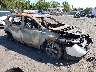 5J6RW2H83HL****** Salvage and Wrecked 2017 Honda CR-V in Scranton