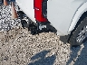 3TMLB5JN8RM****** Salvamento y Destrozados 2024 Toyota Tacoma en Estado de Kentucky