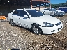 1HGCM567X6A****** Salvamento y Destrozados 2006 Honda Accord en Long Island