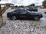 1ZVBP8EM7D5****** Reparables 2013 Ford Mustang en Estado de Ohio