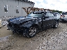 1ZVBP8EM7D5****** Usados y Reparables 2013 Ford Mustang en Columbus