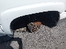 1GNEK13Z54J****** Reparables 2004 Chevrolet Tahoe en Estado de Utah