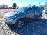 5J6RW2H51KL****** Usados y Reparables 2019 Honda CR-V en Philadelphia