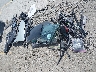 2T3W1RFV7KC****** Destrozados 2019 Toyota RAV4 en Estado de California