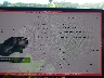 5YJ3E1EA4MF****** Repairable 2021 Tesla Model 3