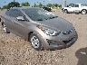 5NPDH4AE8EH****** Salvage and Wrecked 2014 Hyundai Elantra in McAllen
