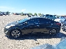 5NPDH4AE5EH****** Repairable 2014 Hyundai Elantra in Arizona State