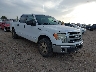 1FTEW1CM4EK****** Salvage and Wrecked 2014 Ford F-150 in McAllen