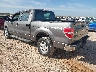 1FTFW1EF6DF****** Salvamento y Reparables 2013 Ford F-150 en Abilene