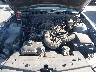 1ZVFT80N775****** Reparables 2007 Ford Mustang en Santa Clarita