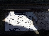 1FTCR10X5MU****** Usados 1991 Ford Ranger en Saint Louis