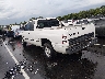 3B7HC12Z9WM****** Salvage and Repairable 1998 Dodge Ram 1500 in Nashville