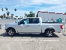 1FTEW1CB4KK****** Salvamento 2019 Ford F-150