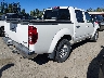 1N6AD0EV8KN****** Salvage and Wrecked 2019 Nissan Frontier in Washington State