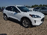 1FMCU9G65NU****** Salvamento y Destrozados 2022 Ford Escape en Billings