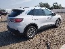 1FMCU9G65NU****** Salvamento y Destrozados 2022 Ford Escape en Estado de Montana