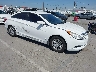 5NPEB4AC6DH****** Salvage and Wrecked 2013 Hyundai Sonata in Los Angeles South