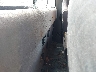 1B7HF16Y1TS****** Destrozados 1996 Dodge Ram 1500 en Longview