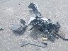 19UUB1F37FA****** Wrecked 2015 Acura TLX in Florida State