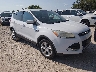 1FMCU0G99DU****** Salvamento y Destrozados 2013 Ford Escape en Springfield