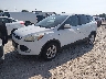 1FMCU0G99DU****** Usados y Reparables 2013 Ford Escape en Springfield