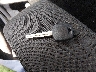 JTKDE177770****** Salvage 2007 Scion TC in Texas State
