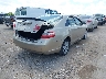 4T1BE46K59U****** Salvage and Wrecked 2009 Toyota Camry in Texas State