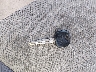 JTEGD21A210****** Salvage 2001 Toyota Highlander in Ohio State