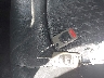 1C3AN69L35X****** Salvage 2005 Chrysler Crossfire in Florida State