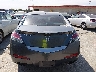 19UUA8F5XBA****** Destrozados 2011 Acura TL